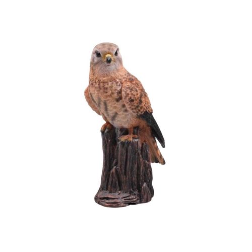 Statue de faucon sculptée sur bois : figurine d'oiseau maori en frêne - France