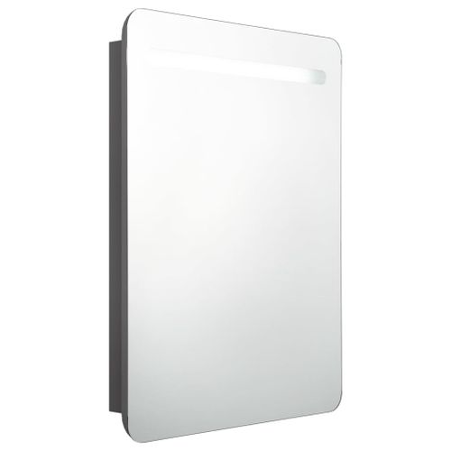 Armoire De Salle De Bain à Miroir LED Gris 60x11x80 Cm