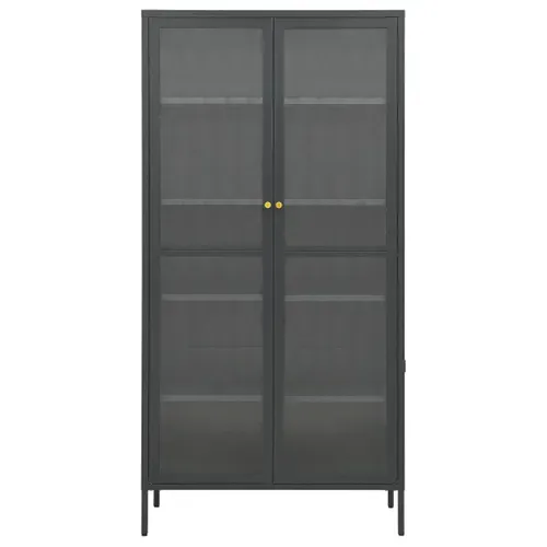 Vitrine D'exposition Anthracite 90x40x180 Cm Acier/verre Trempé