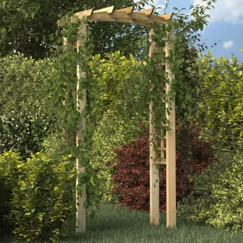 Arche En Treillis 110x60x210 Cm Bois De Pin Massif Imprégné