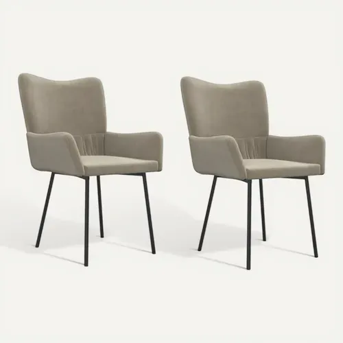 Chaises À Manger Lot De 2 Gris Clair Velours