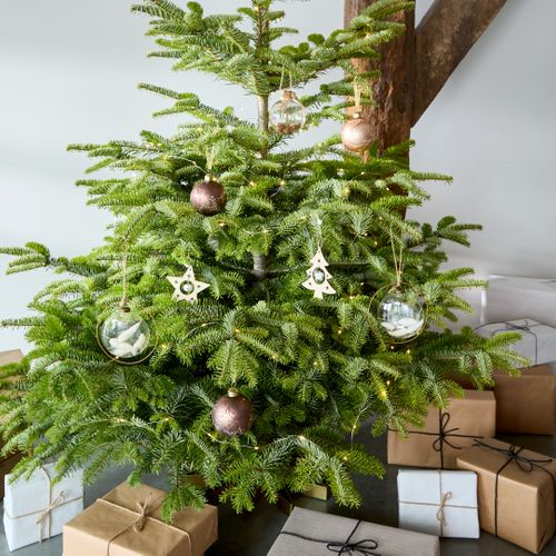 Boule fleurs séchées Ø 8 cm  Transparent