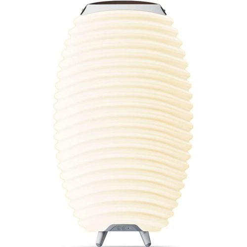 Enceinte Bluetooth Sans Fil Avec Lampe LED Et Seau à Glace Intégrés 72cm - Synergy 65s 2.0