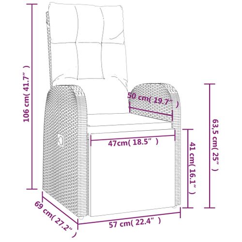 Chaises De Jardin Inclinables Coussins Lot De 2 Résine Tressée