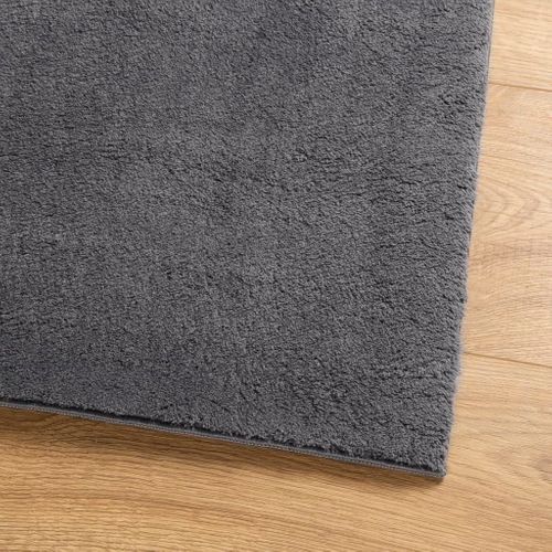 Tapis Huarte À Poils Courts Doux Lavable Anthracite 100x200 Cm