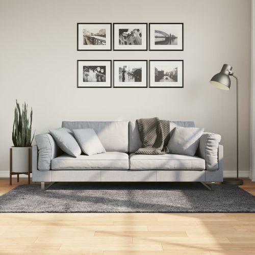 Tapis Huarte À Poils Courts Doux Lavable Anthracite 100x200 Cm