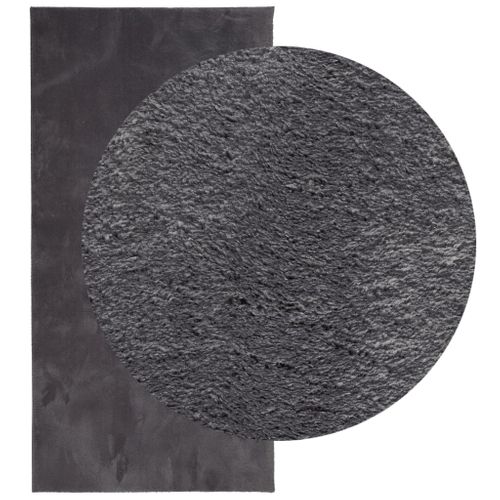 Tapis Huarte À Poils Courts Doux Lavable Anthracite 100x200 Cm