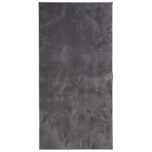 Tapis Huarte À Poils Courts Doux Lavable Anthracite 100x200 Cm