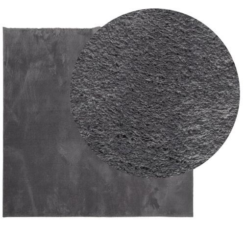 Tapis Huarte À Poils Courts Doux Lavable Anthracite 120x120 Cm