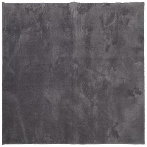 Tapis Huarte À Poils Courts Doux Lavable Anthracite 120x120 Cm