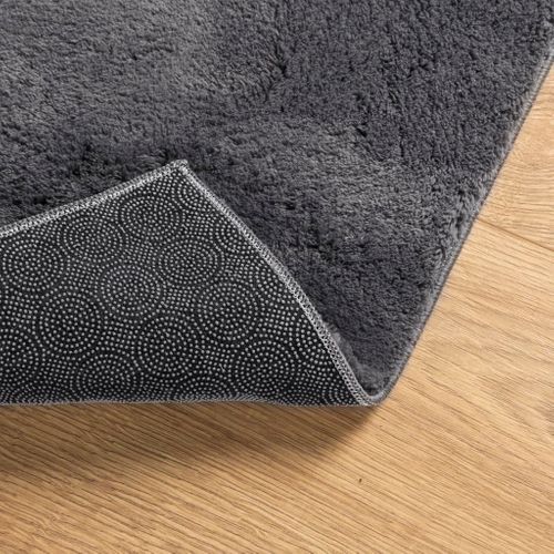Tapis Huarte À Poils Courts Doux Lavable Anthracite 120x120 Cm