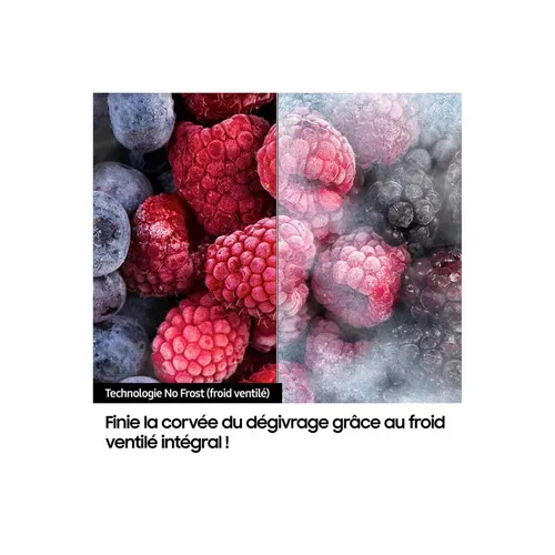 Réfrigérateur Combiné Intégrable 60cm 344l Nofrost Rb34c602dsa