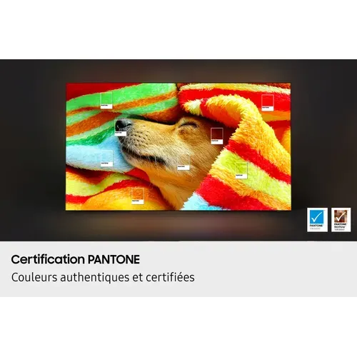 Téléviseur OLED 65'' 165 cm SAMSUNG TQ65S85FAEXXC