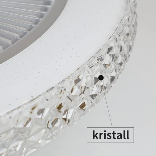 Ventilateur De Plafond Avec Éclairage LED - 48,5 Cm Silencieux Dimmable Télécommande