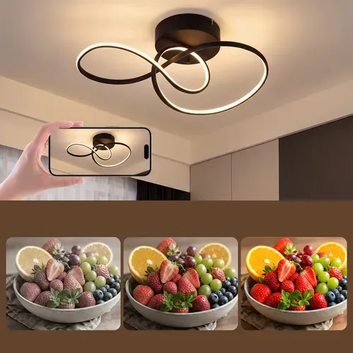 Plafonnier LED 24w Noir Variateur Télécommande Salon Chambre