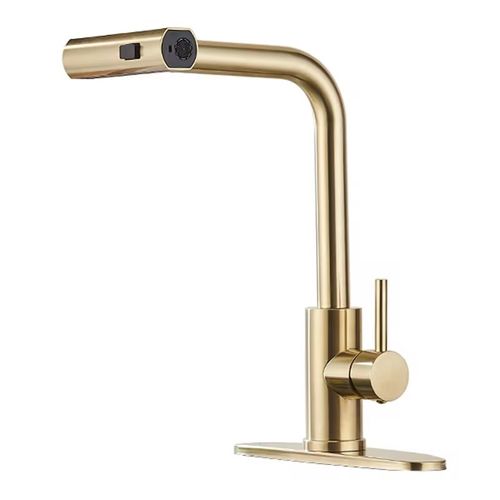 Robinet De Cuisine Pivotant à 360° Et Extractible - Or Brossé
