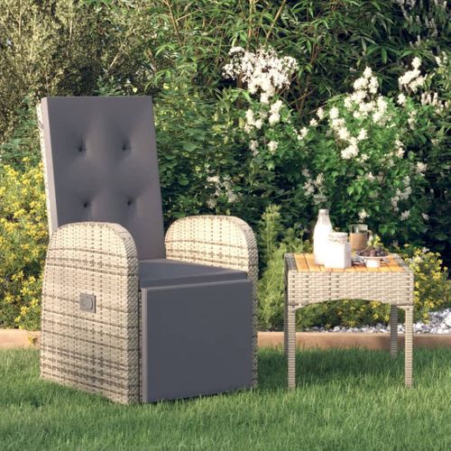Chaise De Jardin Inclinable - Fauteuil D'extérieur Et Coussin Résine Tressée Gris A227