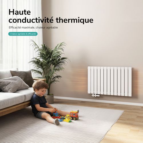 Radiateur Chauffage Central 1308 W Blanc En Acier Double Panneau H. 63 X L. 100 Cm