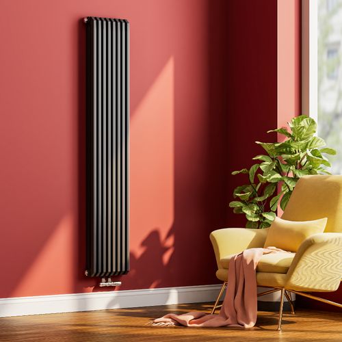 Radiateur Eau Chaude Vertical Acier Anthracite Double Couche 180 × 34,8 Cm 1611 W