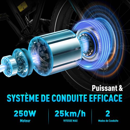 Vélo électrique Vae, Vtt électrique, 26"x4.0 Ville E-bike, Batterie 48v15ah, 7 Vitesses