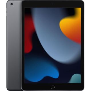 iPad 2021 - 10,2 Wifi - 256 Go - Gris Sidéral