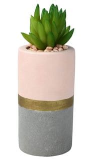 Pot cactus en ciment H. 15 cm SEATTLE Nude