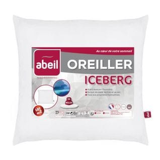 Lot De 2 Oreillers Moelleux Iceberg 60x60 Cm Blanc