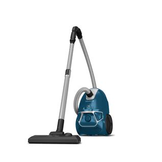 Aspirateur Traîneau Rowenta Ro3950ea
