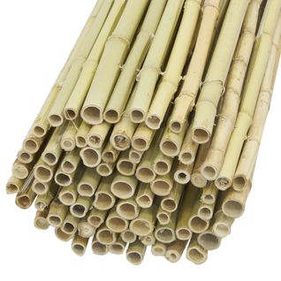 Canisse En Bambou 1m X 1.8m