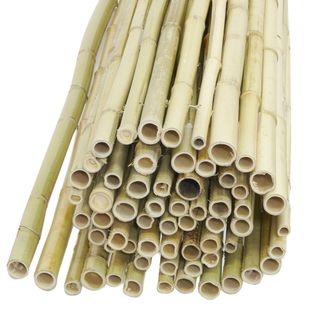 Canisse En Bambou 1.5m X 1.8m