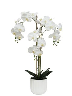 Orchidée H. 100 cm SARAH Blanc
