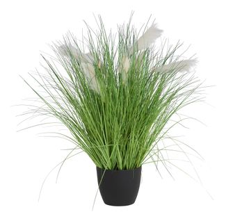 Bunch herbe pot H. 90 cm  Vert