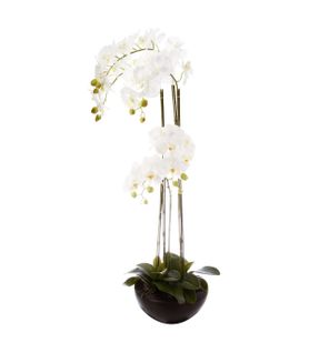 Orchidée artificielle H 110 cm