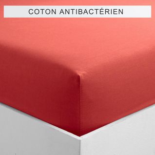 Drap-housse Coton Sanitized® Tertio® -200 X 200