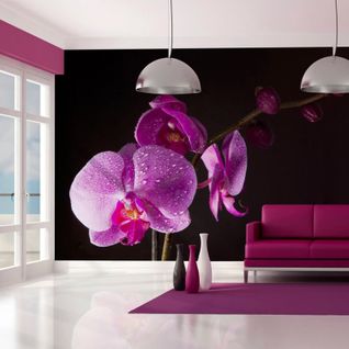 Papier Peint De Bon Goût Orchidée 400 X 309 Cm Violet