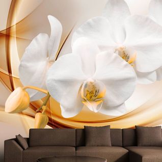 Papier Peint Fleur D'orchidée 350 X 245 Cm Blanc