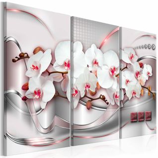 Tableau Merveilleuses Orchidées Je 120 X 80 Cm Blanc