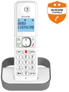 Téléphone sans fil ALCATEL F 860 Solo Gris