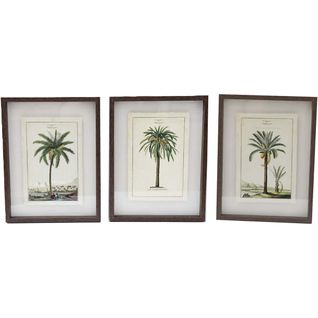 Ensemble De 3 Cadres 30 X 40 Cm Palmiers