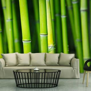 Papier Peint Bambou 400 X 309 Cm Vert