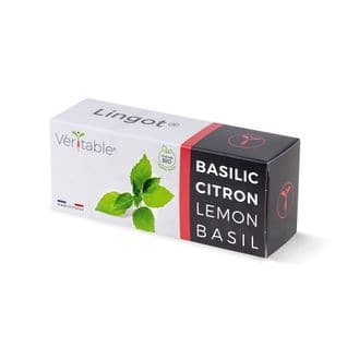 Lingot® Basilic Citron Bio - Recharge Prête-à-l'emploi