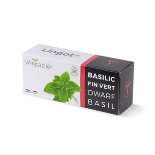 Lingot® Basilic Fin Vert Bio - Recharge Prête-à-l'emploi