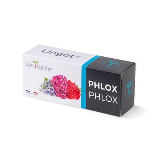 Lingot® Phlox  - Recharge Prête-à-l'emploi