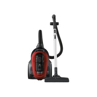 Aspirateur traîneau sans sac ELECTROLUX EL61C2CR