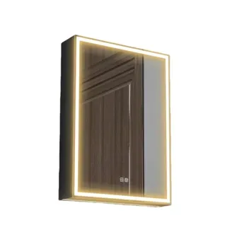 Armoire Miroir LED Pour Salle De Bain 50x70 Cm Avec éclairage Dimmable Et Anti-buée Noir