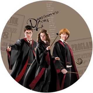 Papier Peint Intissé Auto-adhésif Rond  Harry Potter Et Ses Amis - Hermione Et Ron - 70 X 70 Cm