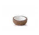 Noix Coco Water Dish