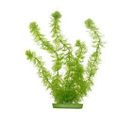 Plantes Artificielles Hornwort 20 Cm - Plastiques - Vertes - Pour Aquarium