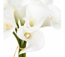 Bouquet Arum PARFUM GLAMOUR Blanc