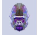 Tableau Animaux Gorille Bleu Et Violet 60x60